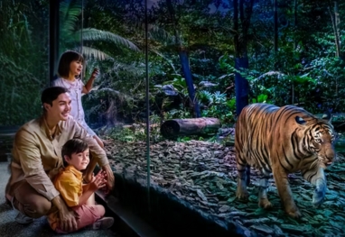 Best of Singapore Tour